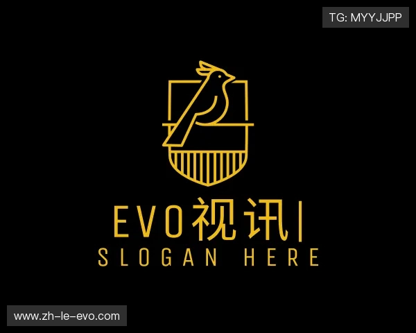 介绍EVO视讯